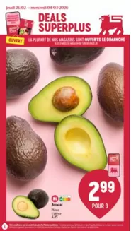 Catalogue AD Delhaize | folder AD Delhaize | 2026-02-26T00:00:00.000Z - 2026-03-04T00:00:00.000Z