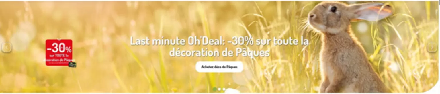 Catalogue Oh'Green à Bruxelles | Oferta-FR | 2026-04-03T00:00:00.000Z - 2026-05-03T00:00:00.000Z