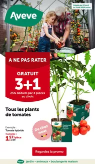 Catalogue AVEVE à Lokeren | Folder AVEVE - FR | 2026-04-22T00:00:00.000Z - 2026-05-03T00:00:00.000Z