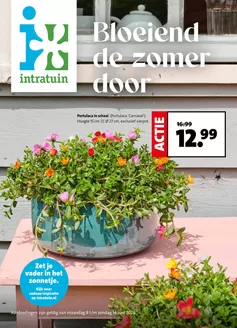Catalogue Intratuin à Laakdal | folder Intratuin | 2026-06-08T00:00:00.000Z - 2026-06-14T00:00:00.000Z