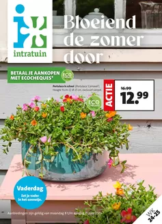 Catalogue Intratuin à Laakdal | Nouvelles offres à découvrir | 2026-06-08T00:00:00.000Z - 2026-06-21T00:00:00.000Z