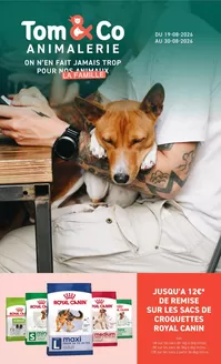 Tom & Co folder | folder Tom Co FR | 2026-08-19T00:00:00.000Z - 2026-08-30T00:00:00.000Z