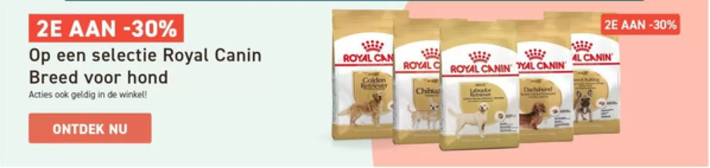 Tom & Co folder | Royan Canin -nl | 2026-10-20T00:00:00.000Z - 2026-11-20T00:00:00.000Z