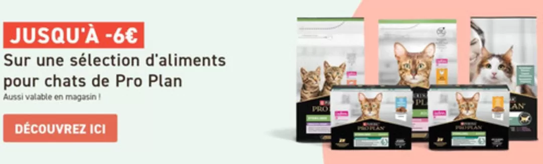 Tom & Co folder | Pro plan -fr  | 2026-10-20T00:00:00.000Z - 2026-11-20T00:00:00.000Z