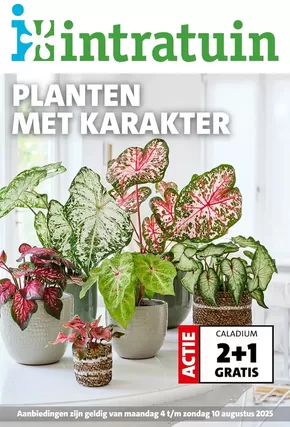 Catalogue Intratuin à Bruges | Planten Met Karakter | 2025-08-04T00:00:00.000Z - 2025-08-10T00:00:00.000Z