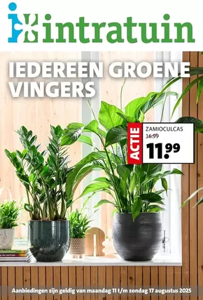 Catalogue Intratuin à Gent | Iedereen Groene Vingers | 2025-08-11T00:00:00.000Z - 2025-08-17T00:00:00.000Z