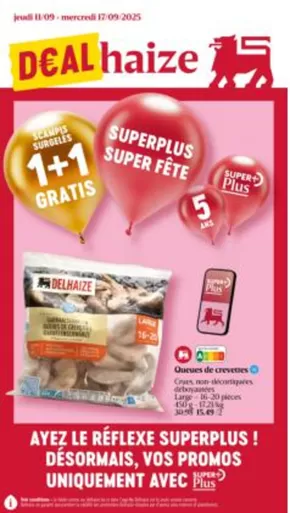 Catalogue AD Delhaize à Saint-Nicolas (Liège) | Folder AD Delhaize - FR | 2025-09-11T00:00:00.000Z - 2025-09-25T00:00:00.000Z
