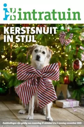 Catalogue Intratuin | Intratuin folder dier | 2025-10-28T00:00:00.000Z - 2025-11-11T00:00:00.000Z