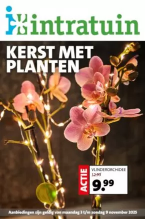 Catalogue Intratuin à Brecht | De Intratuin folder | 2025-11-03T00:00:00.000Z - 2025-11-09T00:00:00.000Z