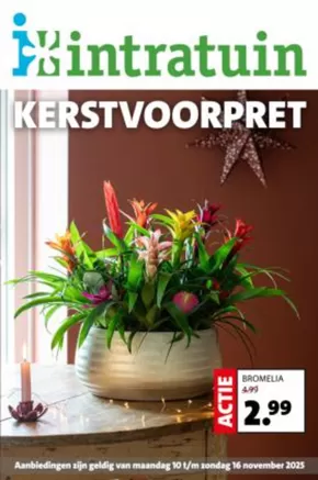 Catalogue Intratuin à Bruxelles | De Intratuin folder | 2025-11-10T00:00:00.000Z - 2025-11-16T00:00:00.000Z