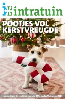 Catalogue Intratuin à Charleroi | de Intratuin folder | 2025-12-08T00:00:00.000Z - 2025-12-14T00:00:00.000Z