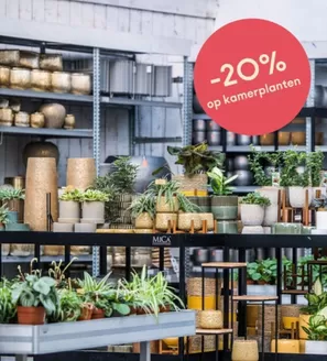 Catalogue Eurotuin à Mons | -20% | 2026-01-06T00:00:00.000Z - 2026-01-20T00:00:00.000Z