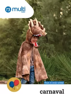 Catalogue Multi bazar à Bruges | Carnaval | 2026-01-12T00:00:00.000Z - 2026-02-17T00:00:00.000Z