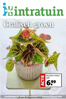Catalogue Intratuin à Hasselt | Week 4 | 2026-01-19T00:00:00.000Z - 2026-01-25T00:00:00.000Z