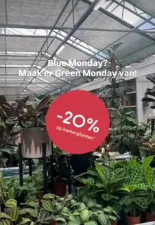 Catalogue Eurotuin à Anvers | Blue Monday | 2026-01-21T00:00:00.000Z - 2026-02-10T00:00:00.000Z