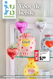 Catalogue Intratuin à Namur | folder Intratuin | 2026-02-09T00:00:00.000Z - 2026-02-15T00:00:00.000Z