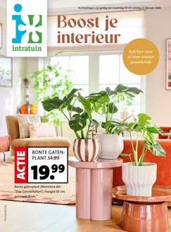 Catalogue Intratuin à Mons | folder Intratuin | 2026-02-16T00:00:00.000Z - 2026-02-22T00:00:00.000Z