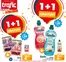 Catalogue trafic | Oferta-FR | 2026-05-11T00:00:00.000Z - 2026-05-17T00:00:00.000Z