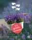 Catalogue Eurotuin à Saint-Trond | Oferta | 2026-05-15T00:00:00.000Z - 2026-05-22T00:00:00.000Z