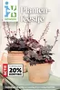 Intratuin folder in | Bonnes affaires et offres actuelles | 2026-07-20T00:00:00.000Z - 2026-07-26T00:00:00.000Z