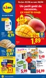 Lidl folder in Kruishoutem | 0308 - 0808 | 2026-08-03T00:00:00.000Z - 2026-08-08T00:00:00.000Z