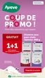 AVEVE folder | Folder AVEVE - FR | 2026-08-12T00:00:00.000Z - 2026-08-23T00:00:00.000Z