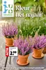 Intratuin folder in Marche-en-Famenne | Offres pour les chasseurs de bonnes affaires | 2026-09-21T00:00:00.000Z - 2026-09-27T00:00:00.000Z