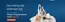 Catalogue Sleepy à Lierde | Oferta-NL | 2026-10-01T00:00:00.000Z - 2026-11-01T00:00:00.000Z