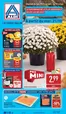 Aldi folder | Nouvelles offres à découvrir | 2026-10-19T00:00:00.000Z - 2026-10-29T00:00:00.000Z