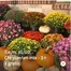 Catalogue Eurotuin à Binche | Ofertas | 2026-10-30T00:00:00.000Z - 2026-10-31T00:00:00.000Z