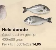 Hele dorade