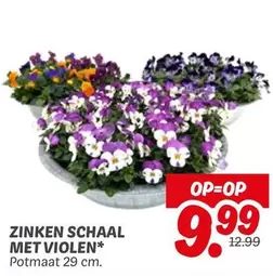 ZINKEN SCHAAL MET VIOLEN*