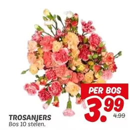 TROSANJERS