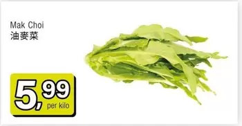 Mak Choi 油麥菜