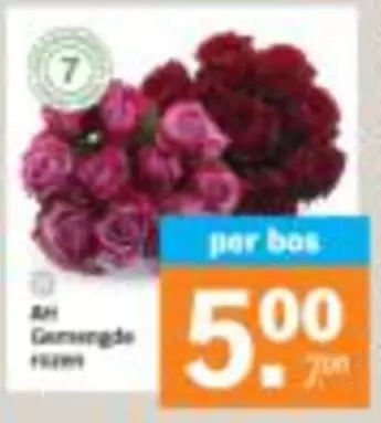 Ah - Gemengde rozen
