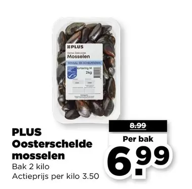 WE - Oosterschelde mosselen