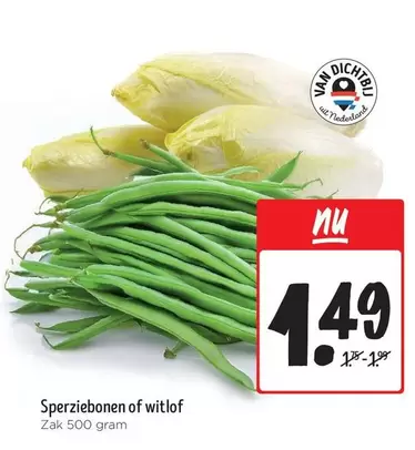 Sperziebonen of witlof