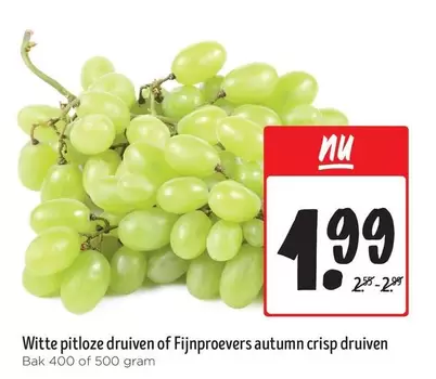 Witte pitloze druiven of Fijnproevers autumn crisp druiven