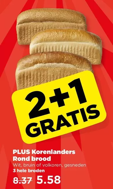 Bruin - Rond brood