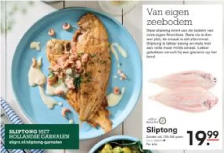 Sliptong