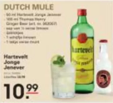 Dutch - Jonge Jenever