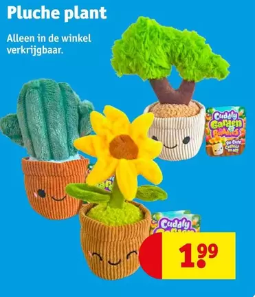 plant - Pluche