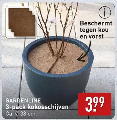 3-pack kokosschijven