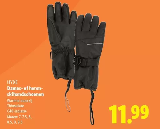 Dames- of heren-skihandschoenen