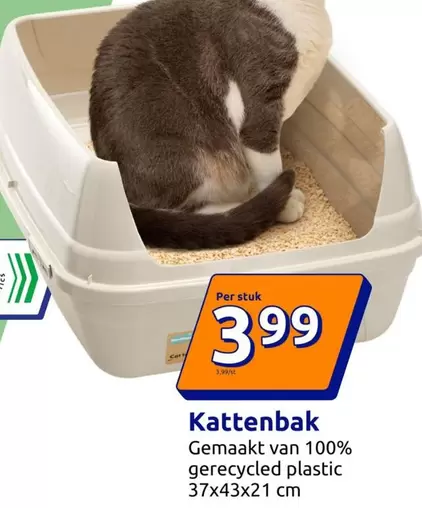 Kattenbak
