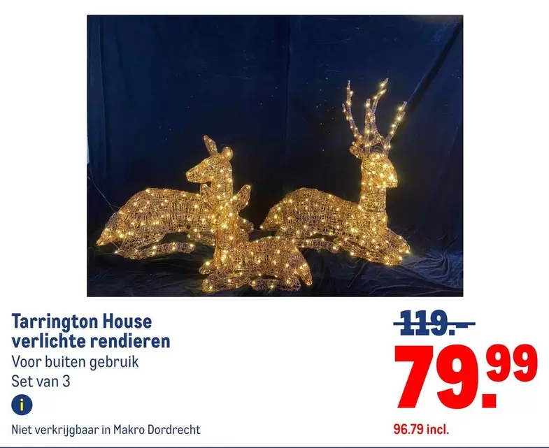 House - Verlichte Rendieren