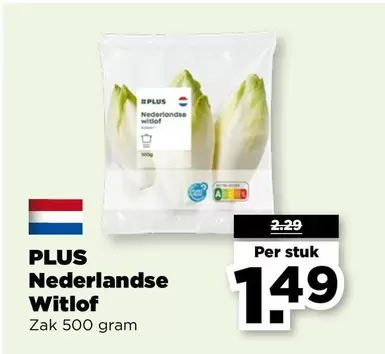 Nederlandse Witlof