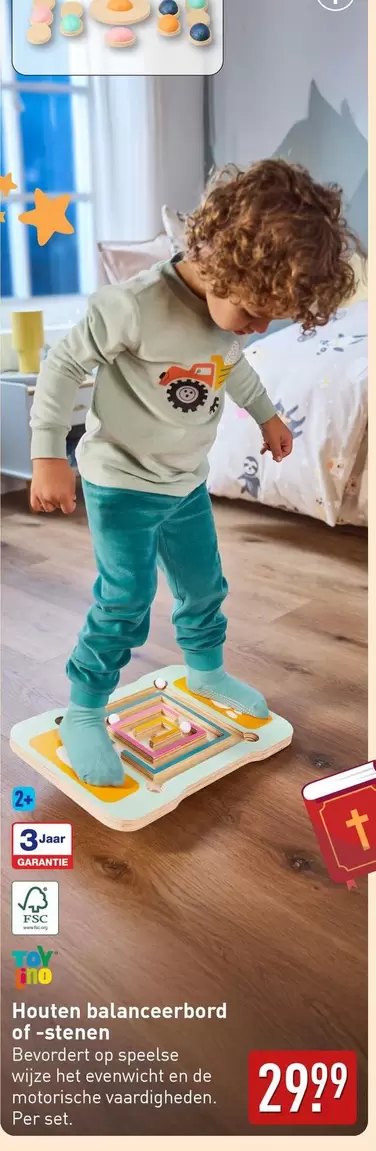 De - Houten balanceerbord of -stenen