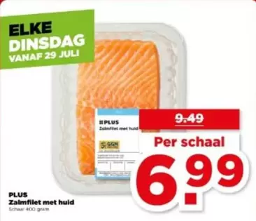 Zalmfilet met huid