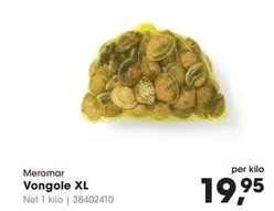 Vongole XL